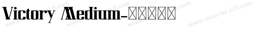 Victory Medium字体转换